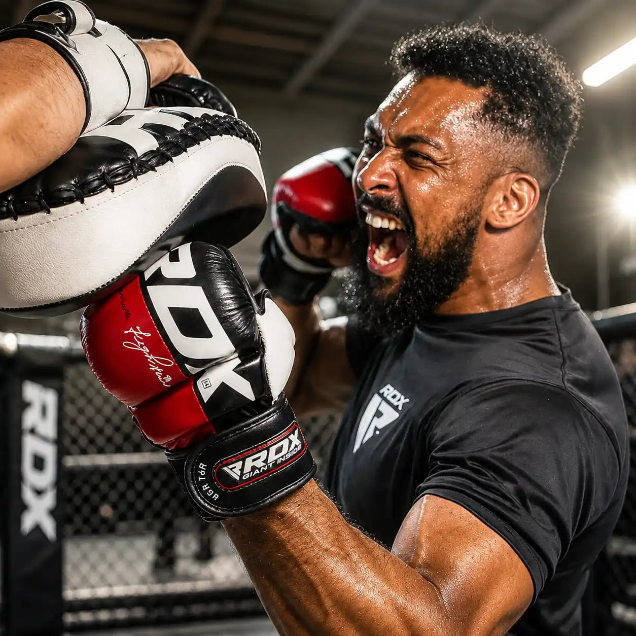 MMA